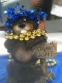 rsicklick's Avatar